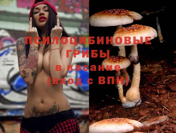 PSILOCYBIN Балабаново