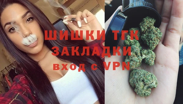 PSILOCYBIN Балабаново