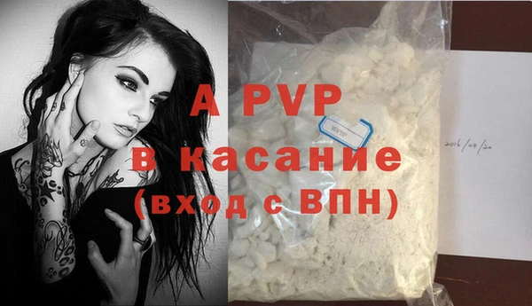 PSILOCYBIN Балабаново