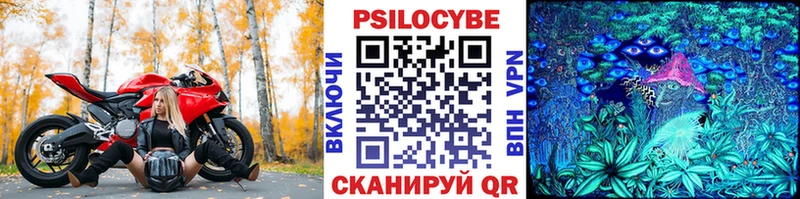 omg зеркало  наркота  Купино  Псилоцибиновые грибы Psilocybine cubensis 
