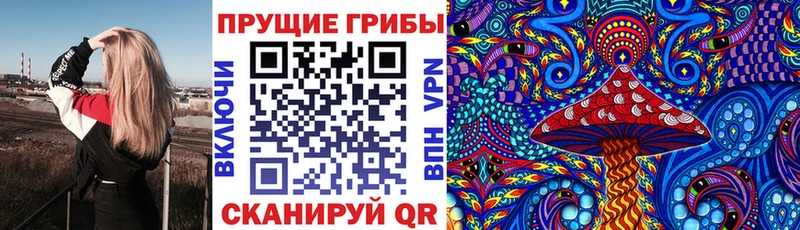 Псилоцибиновые грибы Cubensis Купино